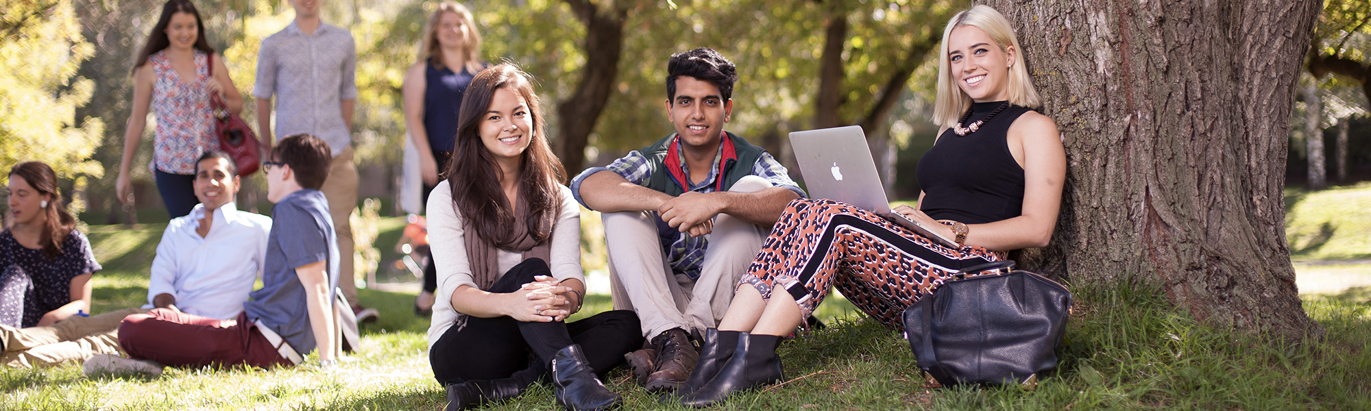 Master of Professional Accounting