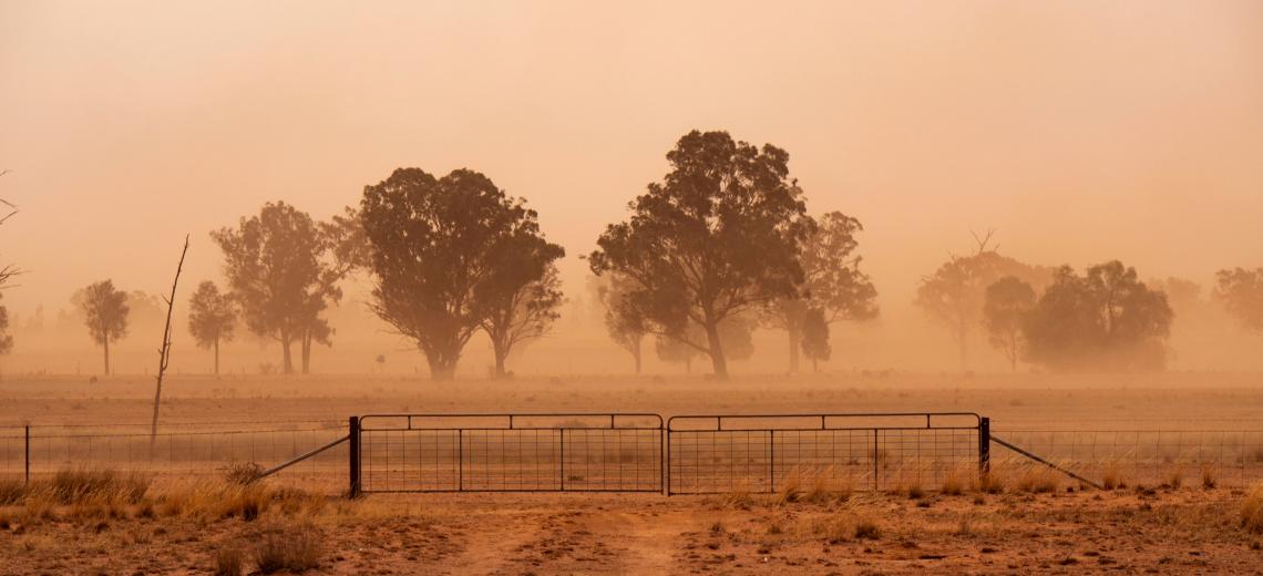 Australian drought