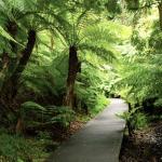 Botanical gardens
