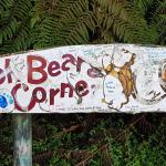 Pooh Bear's Corner